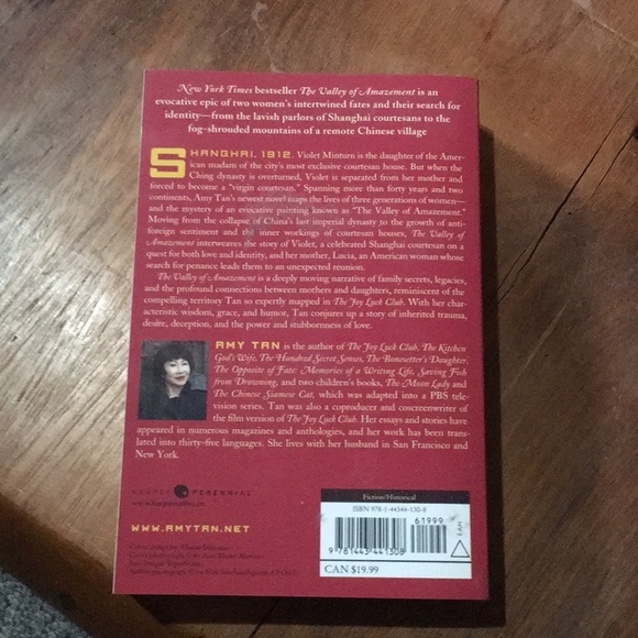 The valley of amazement novel by Amy Tan books - Picture 4 of 8